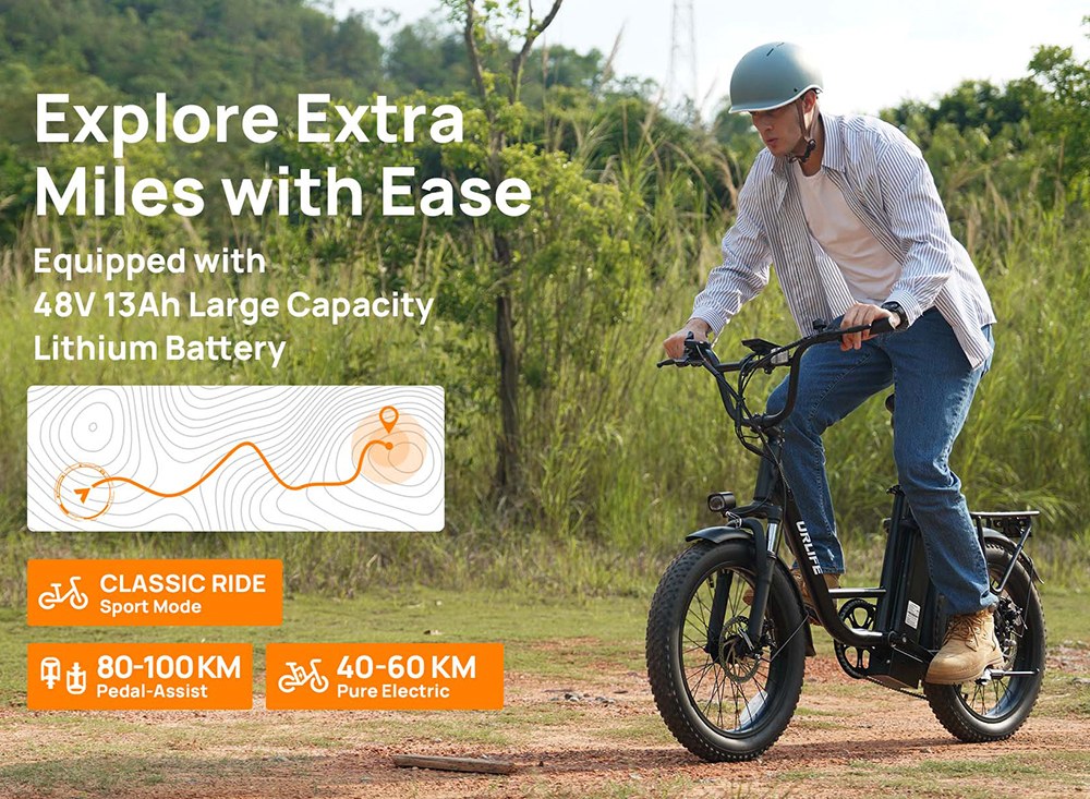 URLIFE E20 Electric Bike, 250W Motor, 48V 13Ah Battery, 20*3 inch Tires, 25km/h Max Speed, 100km Range, Mechanical Disc Brakes, Front Fork Suspension, 7-speed Gear - Black