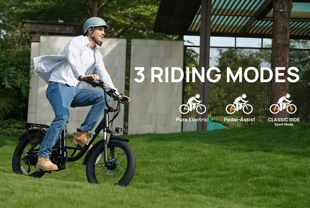 URLIFE E20 Electric Bike, 250W Motor, 48V 13Ah Battery, 20*3 inch Tires, 25km/h Max Speed, 100km Range, Mechanical Disc Brakes, Front Fork Suspension, 7-speed Gear - Black