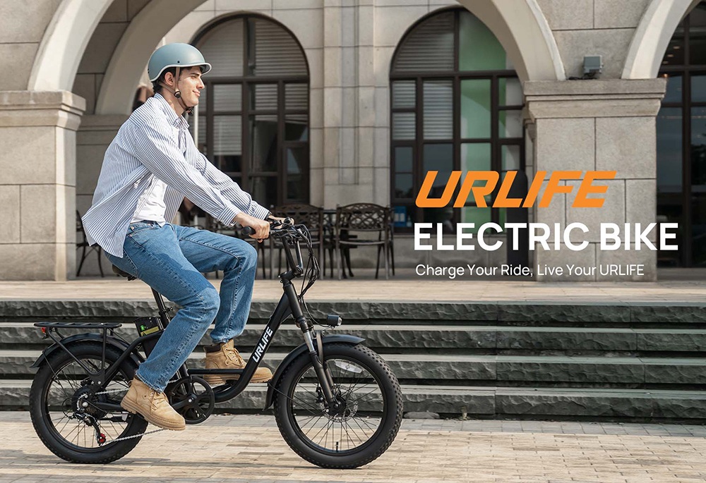 URLIFE E20 Electric Bike, 250W Motor, 48V 13Ah Battery, 20*3 inch Tires, 25km/h Max Speed, 100km Range, Mechanical Disc Brakes, Front Fork Suspension, 7-speed Gear - Black