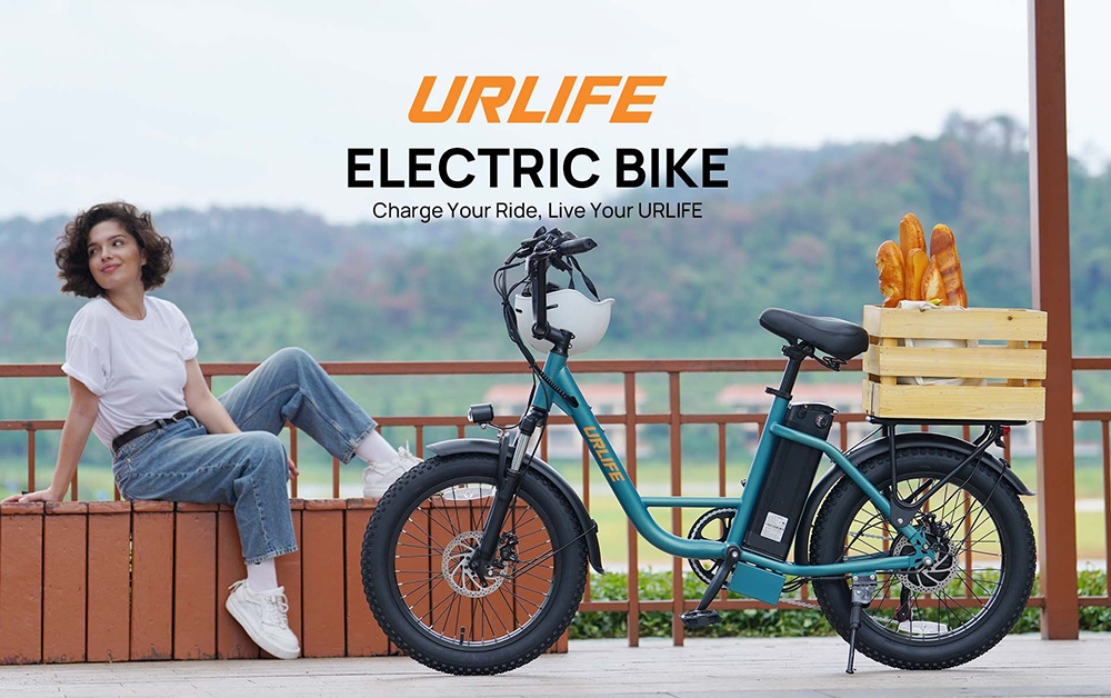 URLIFE E20 Electric Bike, 250W Motor, 48V 13Ah Battery, 20*3 inch Tires, 25km/h Max Speed, 100km Range, Mechanical Disc Brakes, Front Fork Suspension, 7-speed Gear - Black