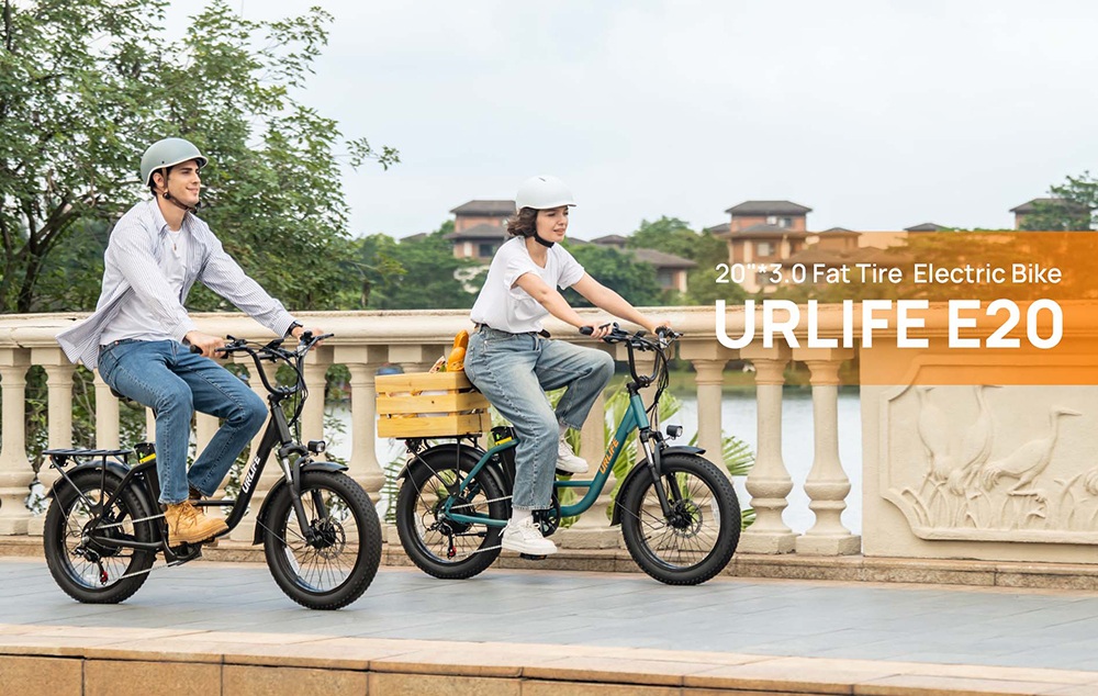 URLIFE E20 Electric Bike, 250W Motor, 48V 13Ah Battery, 20*3 inch Tires, 25km/h Max Speed, 100km Range, Mechanical Disc Brakes, Front Fork Suspension, 7-speed Gear - Green