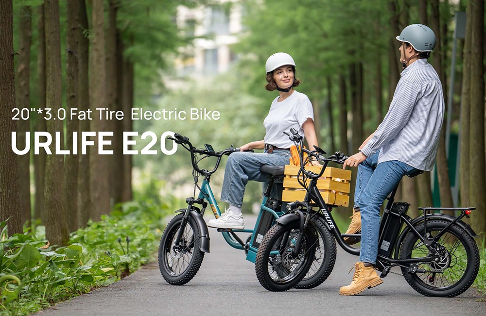URLIFE E20 Electric Bike, 250W Motor, 48V 13Ah Battery, 20*3 inch Tires, 25km/h Max Speed, 100km Range, Mechanical Disc Brakes, Front Fork Suspension, 7-speed Gear - Green