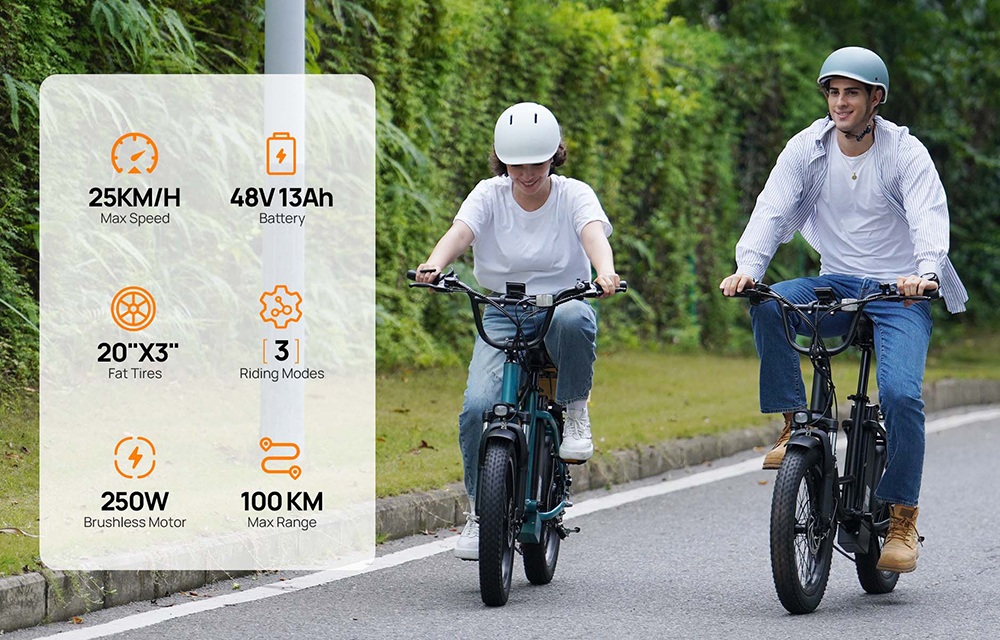 URLIFE E20 Electric Bike, 250W Motor, 48V 13Ah Battery, 20*3 inch Tires, 25km/h Max Speed, 100km Range, Mechanical Disc Brakes, Front Fork Suspension, 7-speed Gear - Green