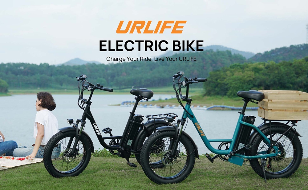 URLIFE E20 Electric Bike, 250W Motor, 48V 13Ah Battery, 20*3 inch Tires, 25km/h Max Speed, 100km Range, Mechanical Disc Brakes, Front Fork Suspension, 7-speed Gear - Green