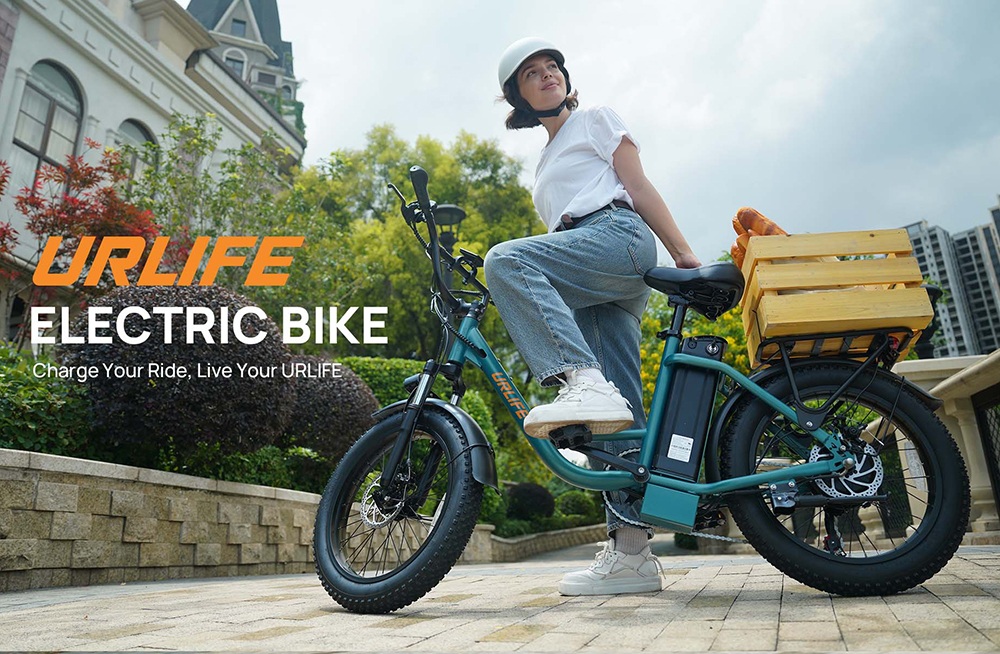 URLIFE E20 Electric Bike, 250W Motor, 48V 13Ah Battery, 20*3 inch Tires, 25km/h Max Speed, 100km Range, Mechanical Disc Brakes, Front Fork Suspension, 7-speed Gear - Green