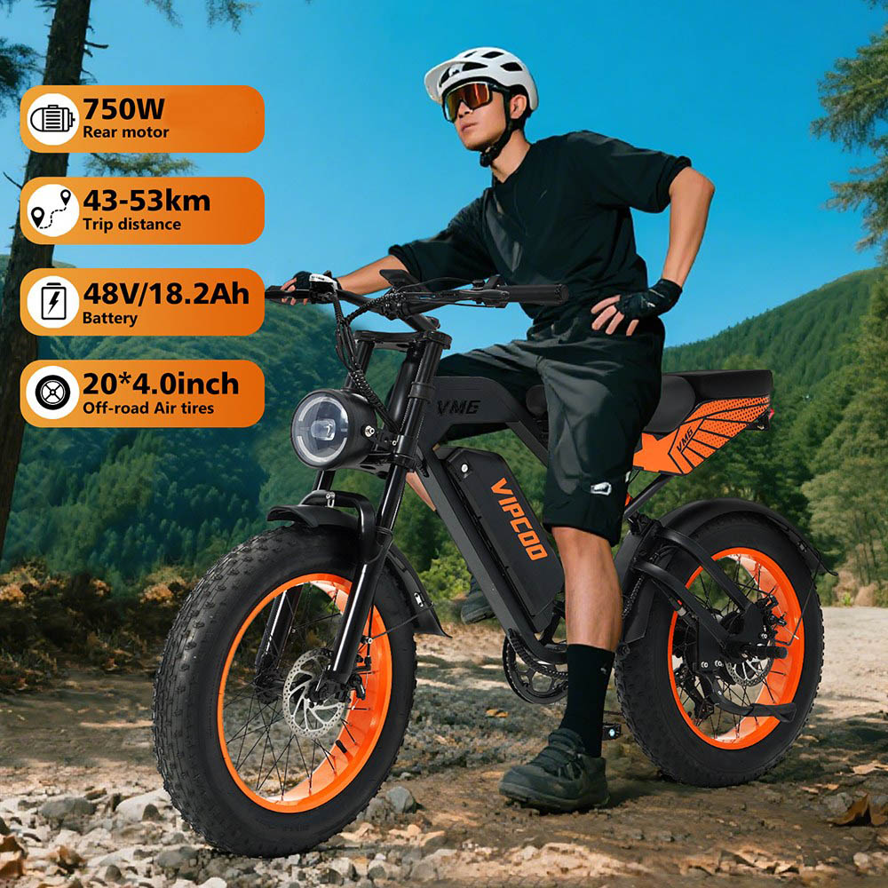 Vipcoo VM6 Electric Bike, 750W Motor, 48V 18.2Ah Battery, 20*4 inch Tires, 40km/h Max Speed, 75km Max Range, Front & Rear Mechanical Disc Brake, Rear Shock Absorber, Shimano 7-speed
