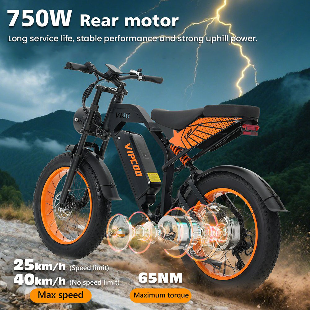Vipcoo VM6 Electric Bike, 750W Motor, 48V 18.2Ah Battery, 20*4 inch Tires, 40km/h Max Speed, 75km Max Range, Front & Rear Mechanical Disc Brake, Rear Shock Absorber, Shimano 7-speed