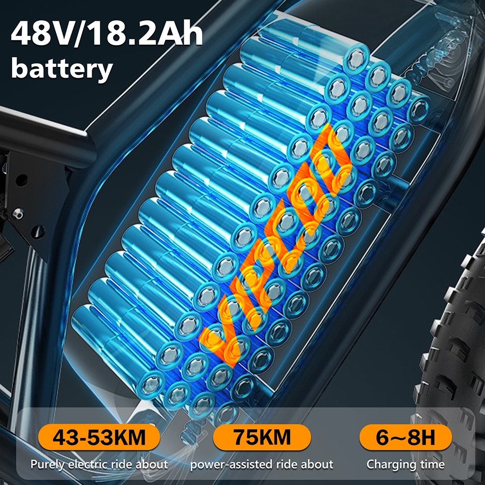 Vipcoo VM6 Electric Bike, 750W Motor, 48V 18.2Ah Battery, 20*4 inch Tires, 40km/h Max Speed, 75km Max Range, Front & Rear Mechanical Disc Brake, Rear Shock Absorber, Shimano 7-speed