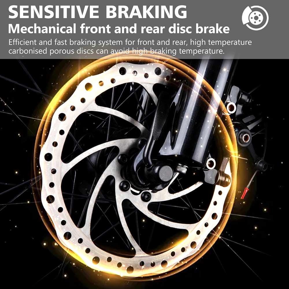 Vipcoo VM6 Electric Bike, 750W Motor, 48V 18.2Ah Battery, 20*4 inch Tires, 40km/h Max Speed, 75km Max Range, Front & Rear Mechanical Disc Brake, Rear Shock Absorber, Shimano 7-speed