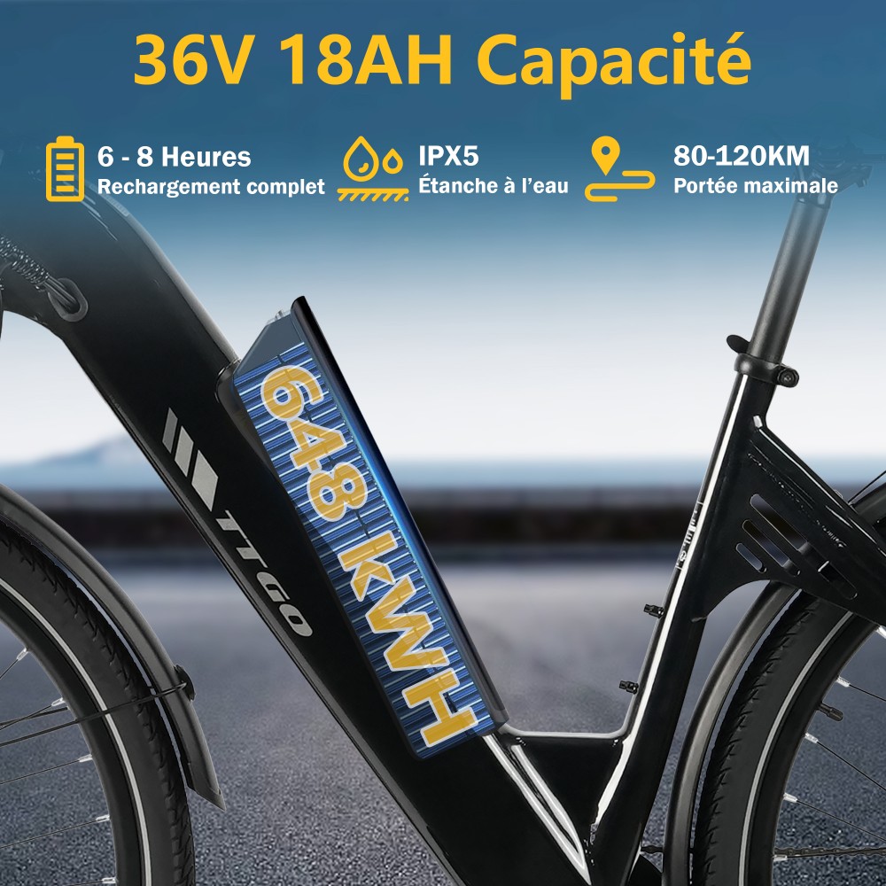 TTGO C3 SE Vélo électrique, moteur 250W, batterie 36V 18Ah, pneus de 28 pouces, vitesse maximale de 25 km/h, autonomie maximale de 120 km, freins à disque mécaniques, fourche à suspension avant, Shimano 7 vitesses - Noir
