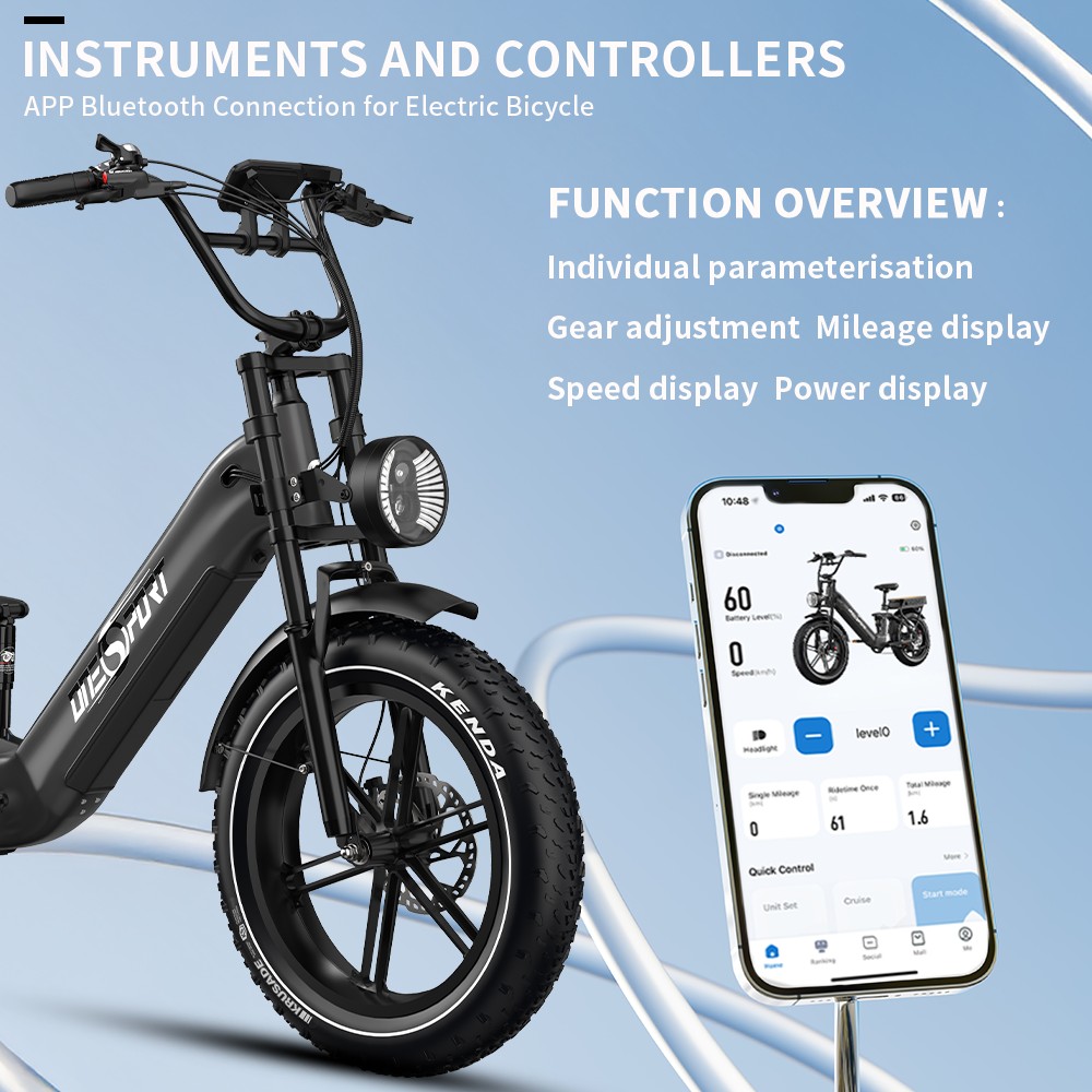 Onesport OT08 Pro Vélo électrique, moteur 500 W, 2 batteries 48 V 18 Ah, pneus 20 x 4 pouces, vitesse maximale 25 km/h, autonomie maximale 190 km, freins à disque à huile avant et arrière, fourche à suspension, Shimano 7 vitesses - Gris