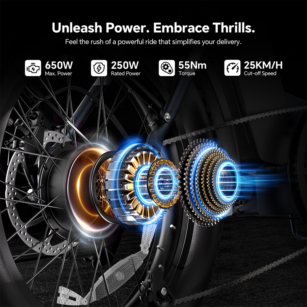 Touroll S2 Vélo électrique, puissance maximale de 650 W, batterie 48 V 15 Ah, pneu 20 x 4,0 pouces, vitesse maximale de 25 km/h, autonomie maximale de 150 km, frein à disque mécanique et frein électrique, amortisseur mécanique, Shimano 7 vitesses