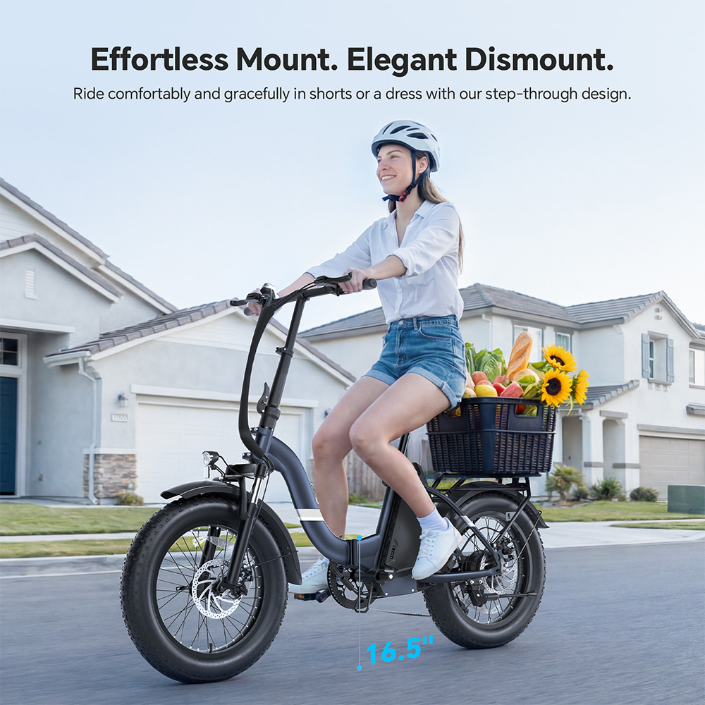 Touroll S2 Vélo électrique, puissance maximale de 650 W, batterie 48 V 15 Ah, pneu 20 x 4,0 pouces, vitesse maximale de 25 km/h, autonomie maximale de 150 km, frein à disque mécanique et frein électrique, amortisseur mécanique, Shimano 7 vitesses