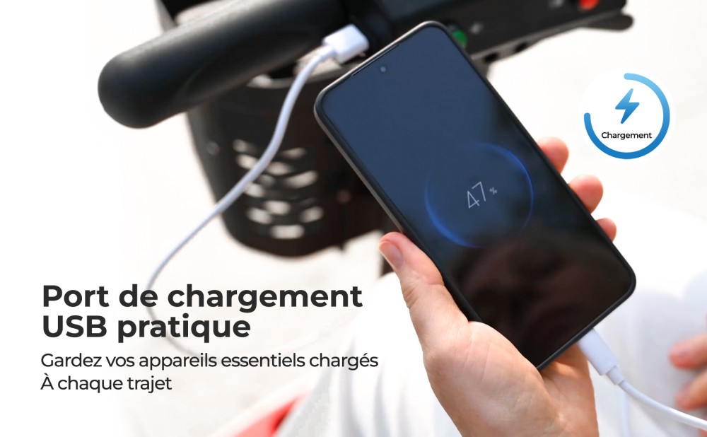 Sweetrich S2 Scooter de mobilité, moteur 250W, batterie 24V 12Ah, vitesse maximale de 6 km/h, autonomie de 15 km - Rouge