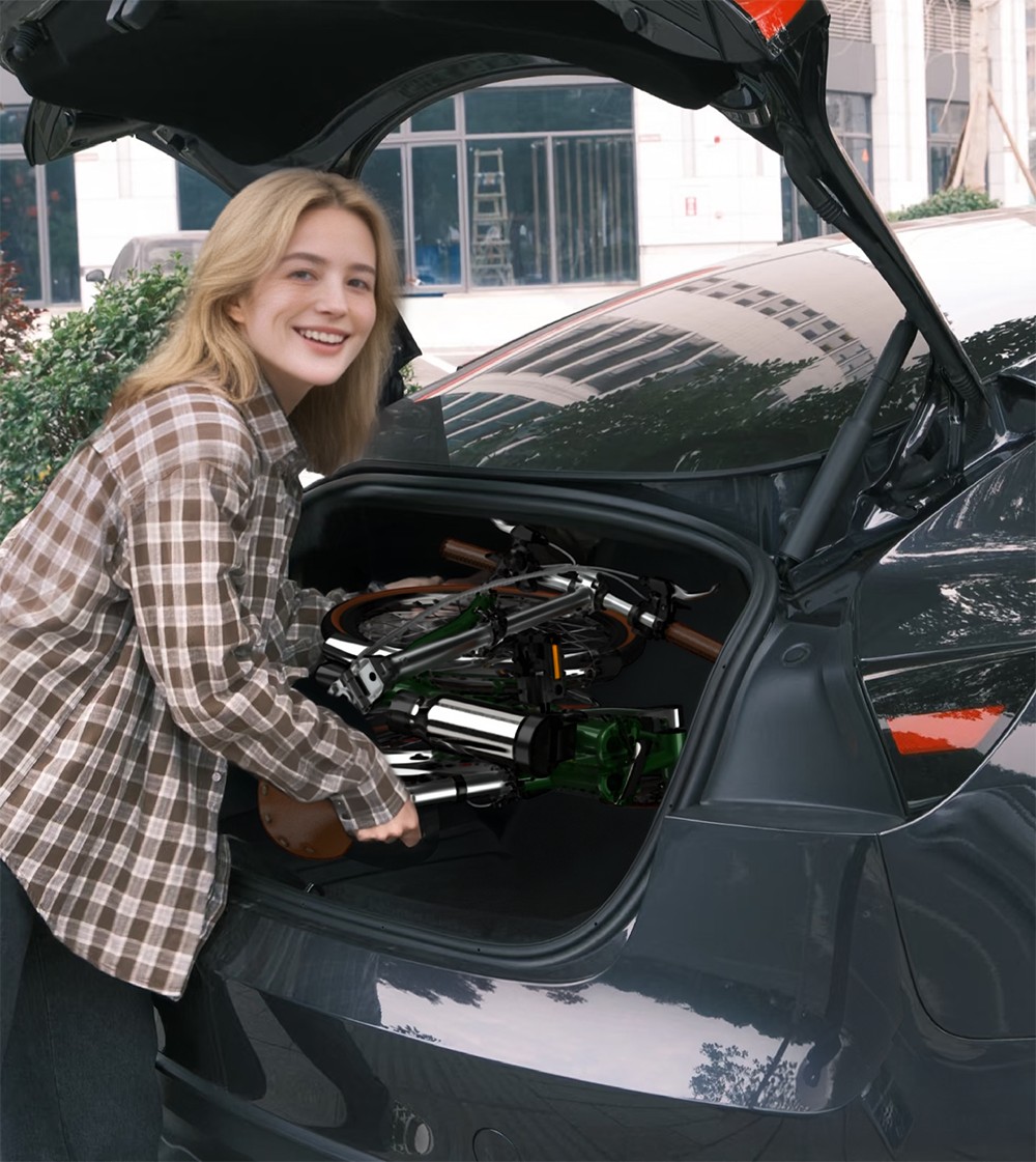 V&eacute;lo &eacute;lectrique pliant ONESPORT OT02 Pro, moteur 250 W, batterie 36 V 5,2 Ah, pneus 20 pouces, vitesse maximale 25 km/h, autonomie 25 km, freins &agrave; disque m&eacute;caniques, transmission Shimano 7 vitesses - Vert