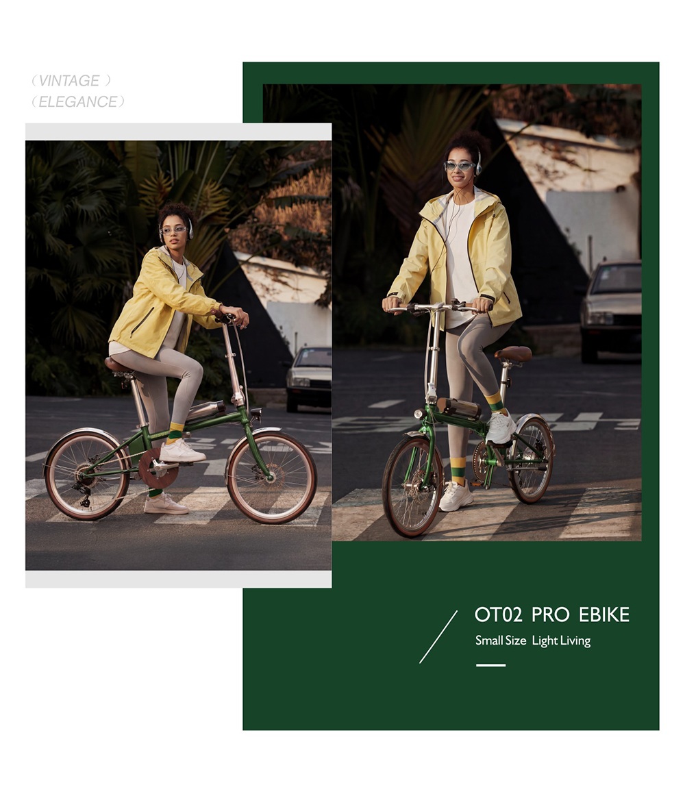 V&eacute;lo &eacute;lectrique pliant ONESPORT OT02 Pro, moteur 250 W, batterie 36 V 5,2 Ah, pneus 20 pouces, vitesse maximale 25 km/h, autonomie 25 km, freins &agrave; disque m&eacute;caniques, transmission Shimano 7 vitesses - Vert