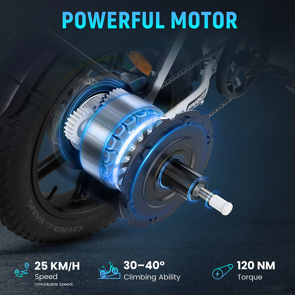 V&eacute;lo &eacute;lectrique RATTAN LF Pro, moteur 750 W, batterie 48 V 18 Ah, vitesse 25 km/h, angle d'inclinaison maximal de 40&deg;, autonomie de 120 km, &eacute;tanch&eacute;it&eacute; IP65 - Noir