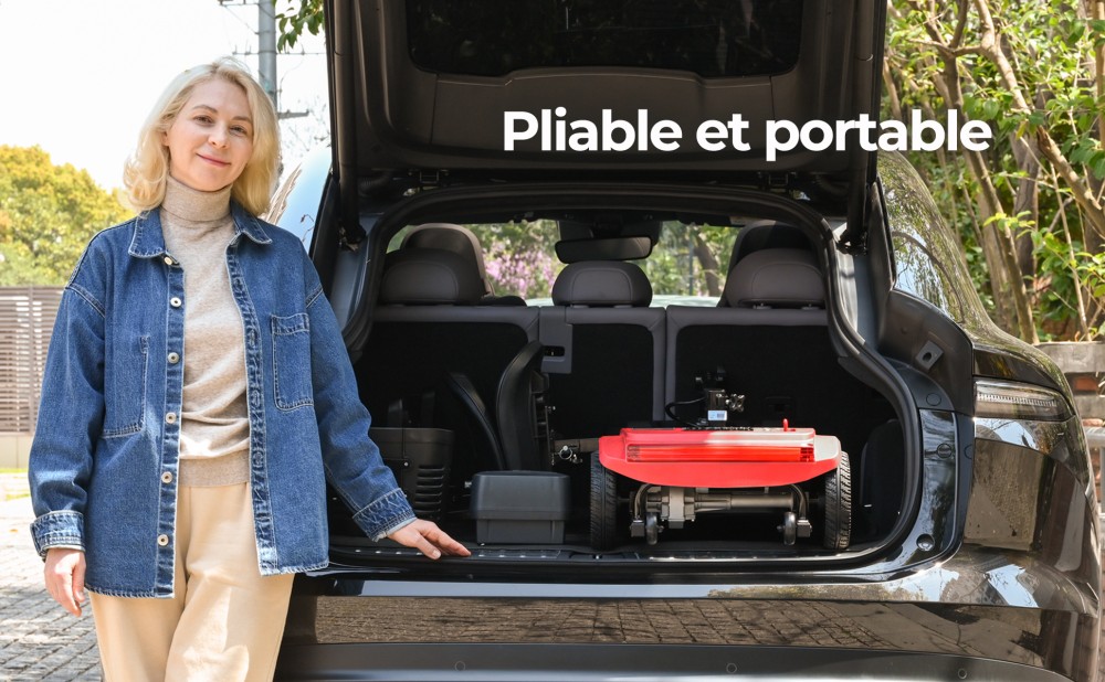 Sweetrich S2 Scooter de mobilité, moteur 250W, batterie 24V 12Ah, vitesse maximale de 6 km/h, autonomie de 15 km - Rouge