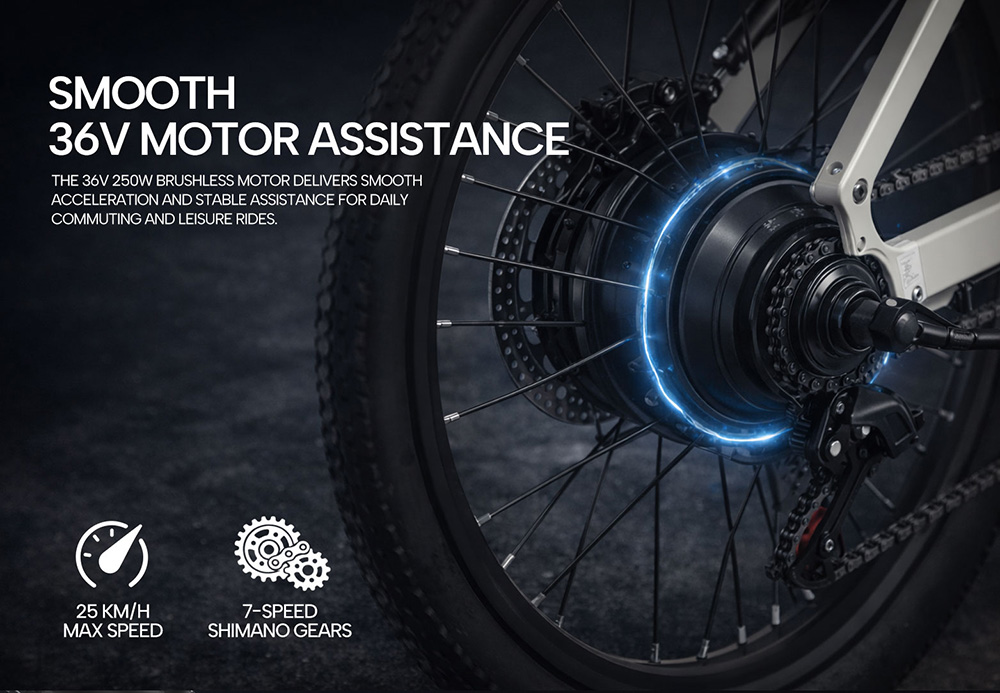 PIXAR C1 Elektrofahrrad, 250-W-Motor, 36-V-13-Ah-Akku, 25 km/h H&ouml;chstgeschwindigkeit, 65 km Reichweite, 27,5