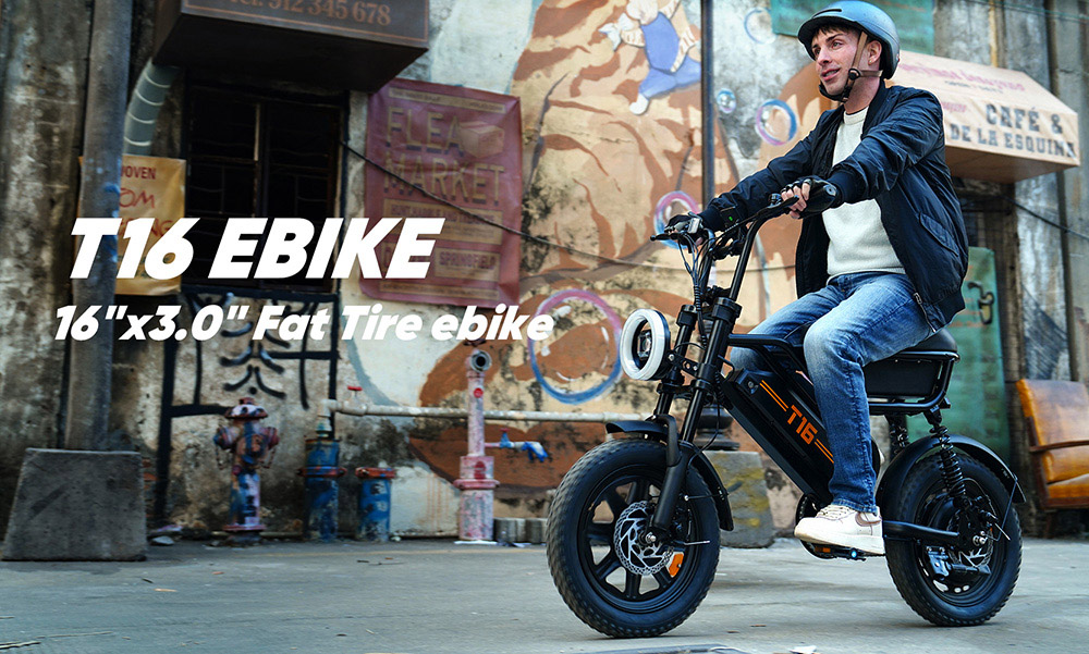 URLIFE T16 Elektrofahrrad, 250-W-Hochleistungsmotor, 48-V-13-Ah-Akku, Reichweite bis zu 100 km, H&ouml;chstgeschwindigkeit 25 km/h, 16'&times;3,0'-Fatbike-Reifen, Vollfederung, Doppelscheibenbremsen, maximale Steigf&auml;higkeit 30&deg;
