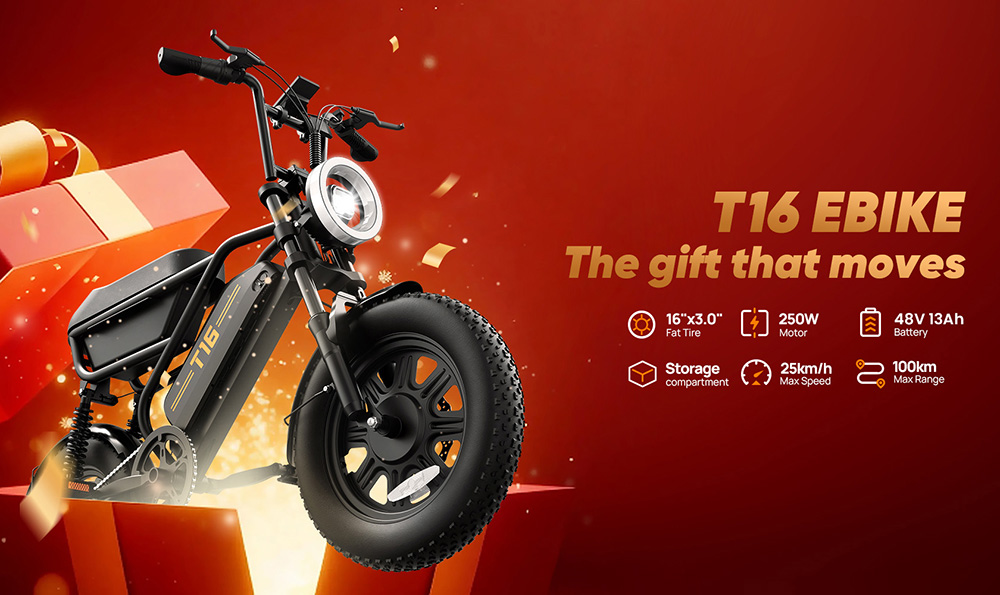 URLIFE T16 Elektrofahrrad, 250-W-Hochleistungsmotor, 48-V-13-Ah-Akku, Reichweite bis zu 100 km, H&ouml;chstgeschwindigkeit 25 km/h, 16'&times;3,0'-Fatbike-Reifen, Vollfederung, Doppelscheibenbremsen, maximale Steigf&auml;higkeit 30&deg;