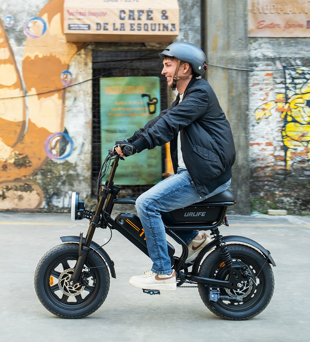 URLIFE T16 Elektrofahrrad, 250-W-Hochleistungsmotor, 48-V-13-Ah-Akku, Reichweite bis zu 100 km, H&ouml;chstgeschwindigkeit 25 km/h, 16'&times;3,0'-Fatbike-Reifen, Vollfederung, Doppelscheibenbremsen, maximale Steigf&auml;higkeit 30&deg;