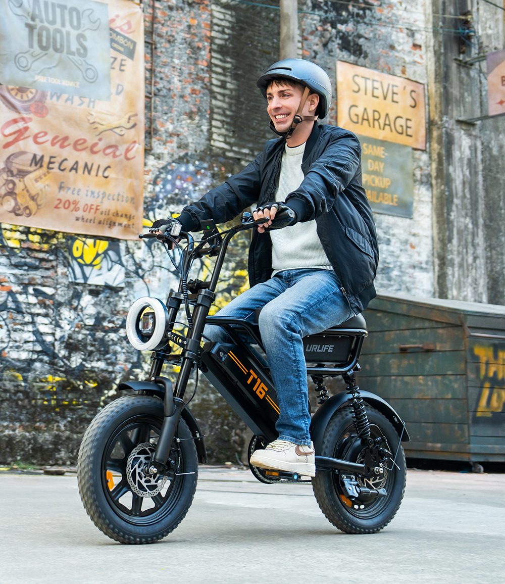 URLIFE T16 Elektrofahrrad, 250-W-Hochleistungsmotor, 48-V-13-Ah-Akku, Reichweite bis zu 100 km, H&ouml;chstgeschwindigkeit 25 km/h, 16'&times;3,0'-Fatbike-Reifen, Vollfederung, Doppelscheibenbremsen, maximale Steigf&auml;higkeit 30&deg;