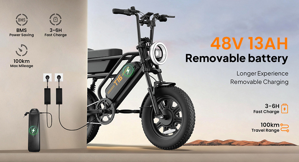 URLIFE T16 Elektrofahrrad, 250-W-Hochleistungsmotor, 48-V-13-Ah-Akku, Reichweite bis zu 100 km, H&ouml;chstgeschwindigkeit 25 km/h, 16'&times;3,0'-Fatbike-Reifen, Vollfederung, Doppelscheibenbremsen, maximale Steigf&auml;higkeit 30&deg;