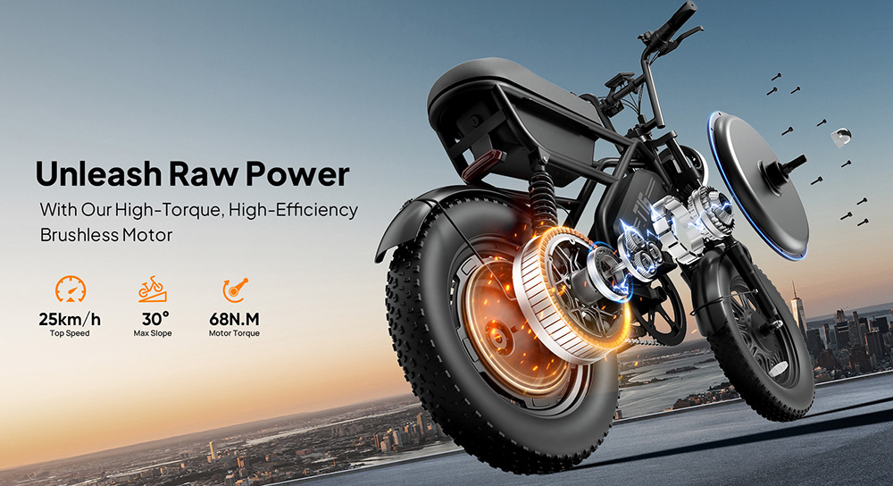 URLIFE T16 Elektrofahrrad, 250-W-Hochleistungsmotor, 48-V-13-Ah-Akku, Reichweite bis zu 100 km, H&ouml;chstgeschwindigkeit 25 km/h, 16'&times;3,0'-Fatbike-Reifen, Vollfederung, Doppelscheibenbremsen, maximale Steigf&auml;higkeit 30&deg;