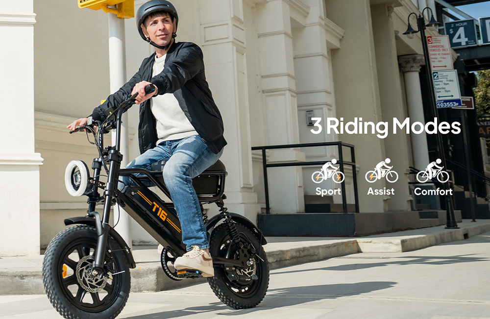 URLIFE T16 Elektrofahrrad, 250-W-Hochleistungsmotor, 48-V-13-Ah-Akku, Reichweite bis zu 100 km, H&ouml;chstgeschwindigkeit 25 km/h, 16'&times;3,0'-Fatbike-Reifen, Vollfederung, Doppelscheibenbremsen, maximale Steigf&auml;higkeit 30&deg;