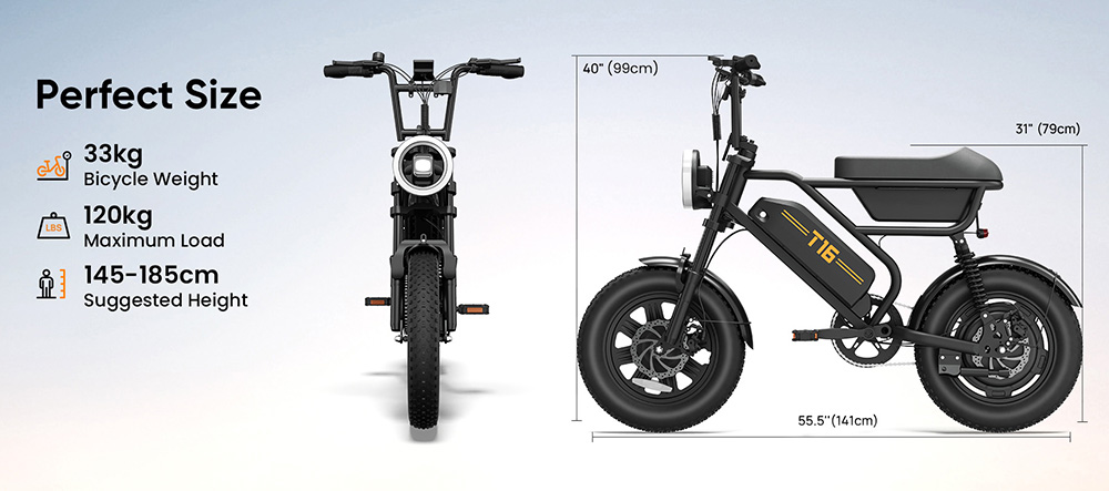 URLIFE T16 Elektrofahrrad, 250-W-Hochleistungsmotor, 48-V-13-Ah-Akku, Reichweite bis zu 100 km, H&ouml;chstgeschwindigkeit 25 km/h, 16'&times;3,0'-Fatbike-Reifen, Vollfederung, Doppelscheibenbremsen, maximale Steigf&auml;higkeit 30&deg;