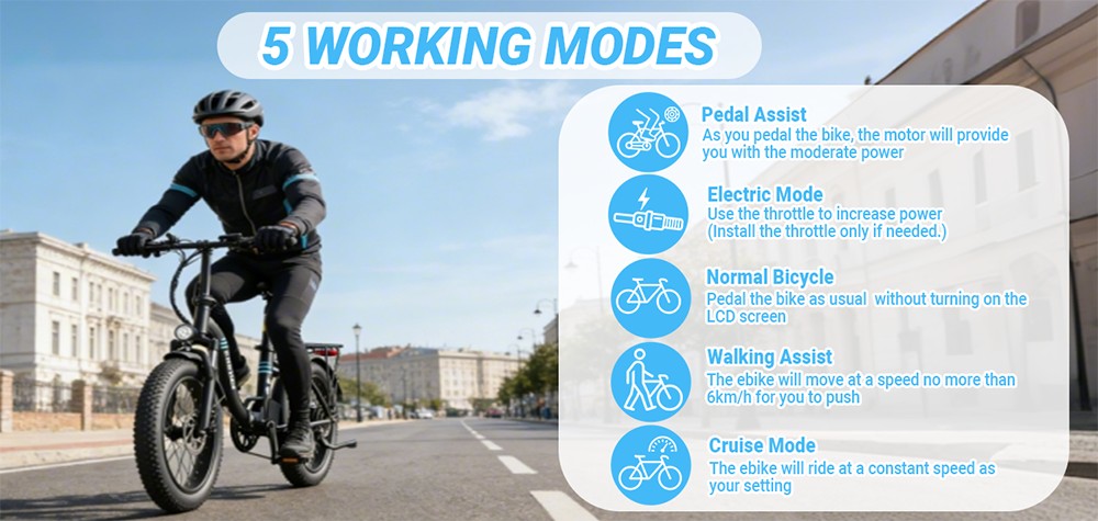 E·Bycco S1 Electric Bike, 250W Brushless (500W Peak) Motor, 36V 10.4Ah Removable Battery, 25km/h Top Speed, 30-50km Range, 20"×3.0" Fat Tires, Shimano 7-Speed, Dual Disc Brakes, Foldable Frame, 150kg Max Load