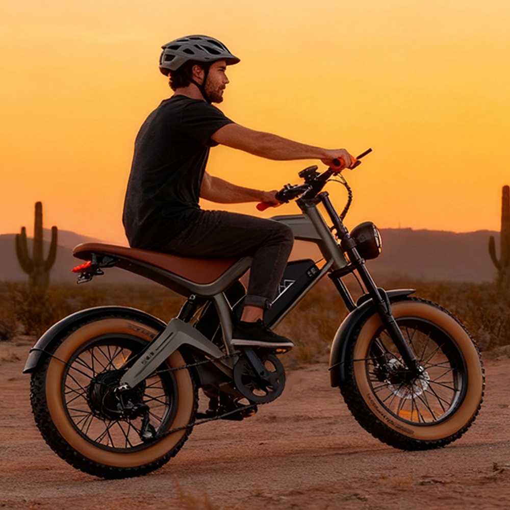 ZONVEER M20 Electric Bike, 1000W (1500W Peak) Motor, 48V 18.2Ah batéria, max. rýchlosť 55km/h, dojazd 60km PAS, 20