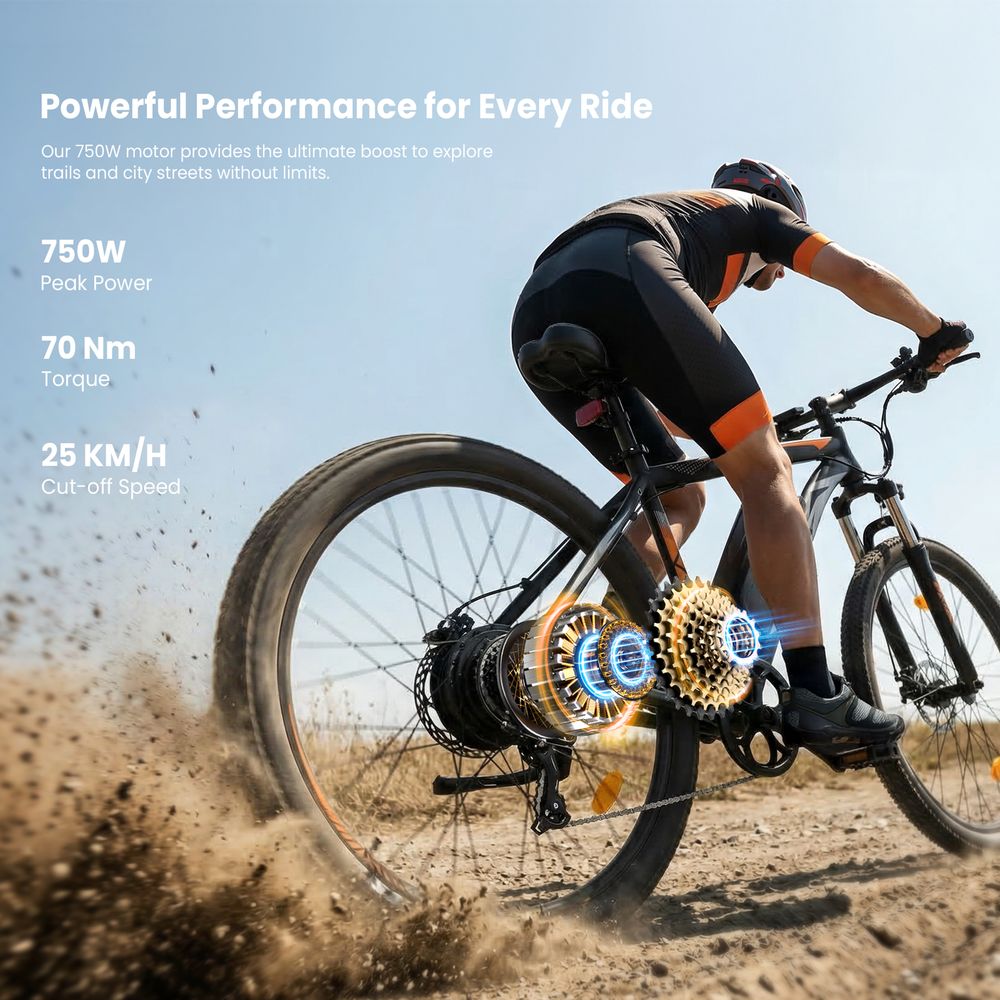 Touroll U2 Pro Electric Bike, 750W Peak Motor, 48V 15Ah Battery, 25km/h Max Speed, 150km Range, Hydraulic Disc Brakes, 29