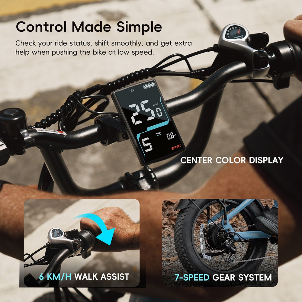 FAFREES F20 Rover Electric Bike, 250W Rear Hub Motor, 48V 15Ah (720Wh) Removable Battery, 55N&middot;m Torque, Up to 80km Range, 25km/h Max Speed, 20&times;4.0' Fat Tires, Hydraulic Disc Brakes, Shimano 7-Speed - Black