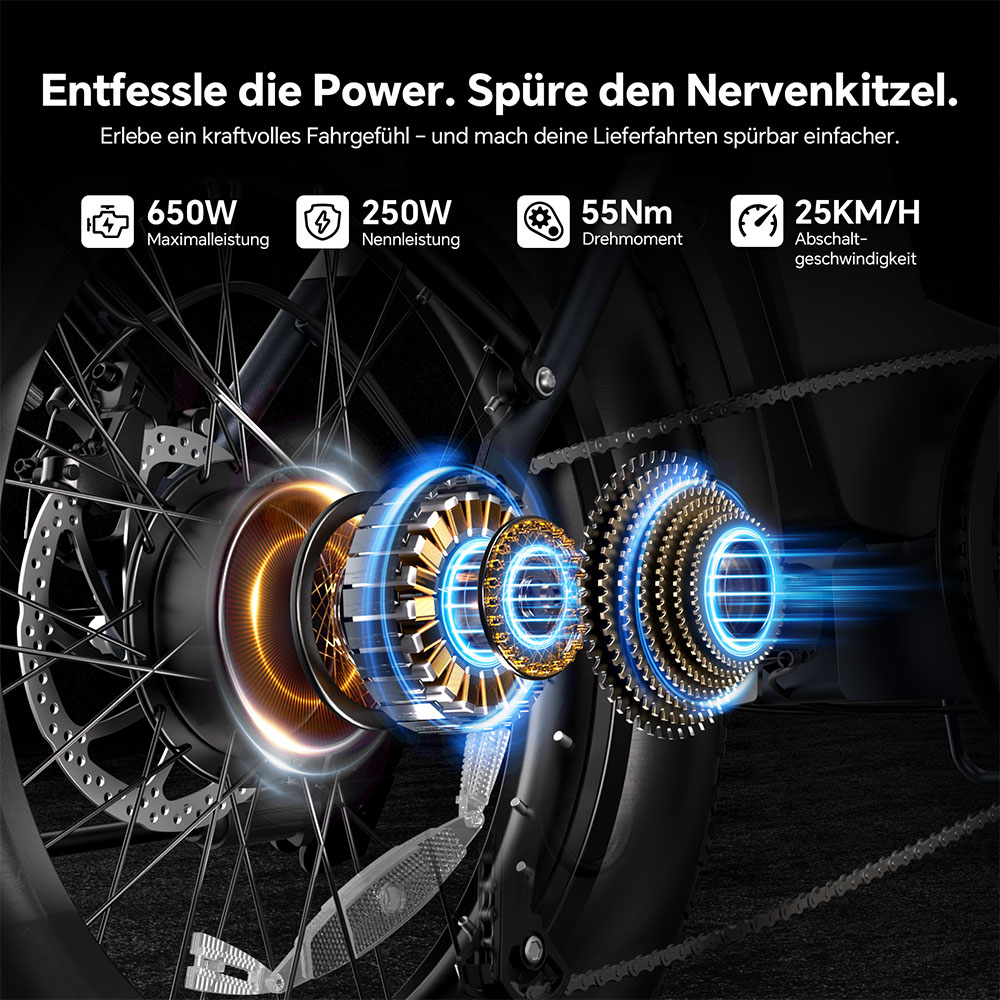 Touroll S2 Elektrofahrrad, 650 W max. Leistung, 48 V 15 Ah Akku, 20 x 4,0 Zoll Reifen, 25 km/h Max. Geschwindigkeit, 150 km max. Reichweite, mechanische Scheibenbremse & E-Bremse, mechanischer Stoßdämpfer, Shimano 7-Gang-Getriebe