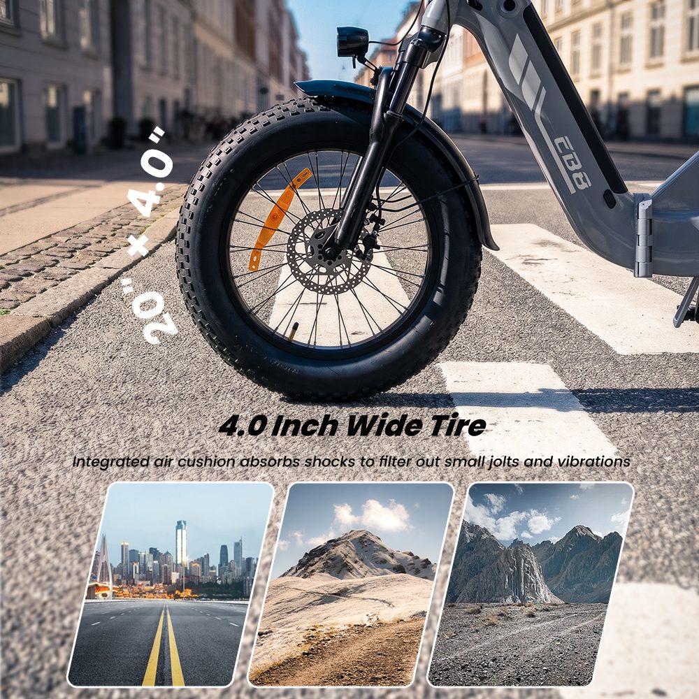 EB8 Faltbares Elektrofahrrad, 250-W-Motor, 48-V-15-Ah-Akku, &uuml;ber 144 km Reichweite, 25 km/h H&ouml;chstgeschwindigkeit, 20&times;4,0