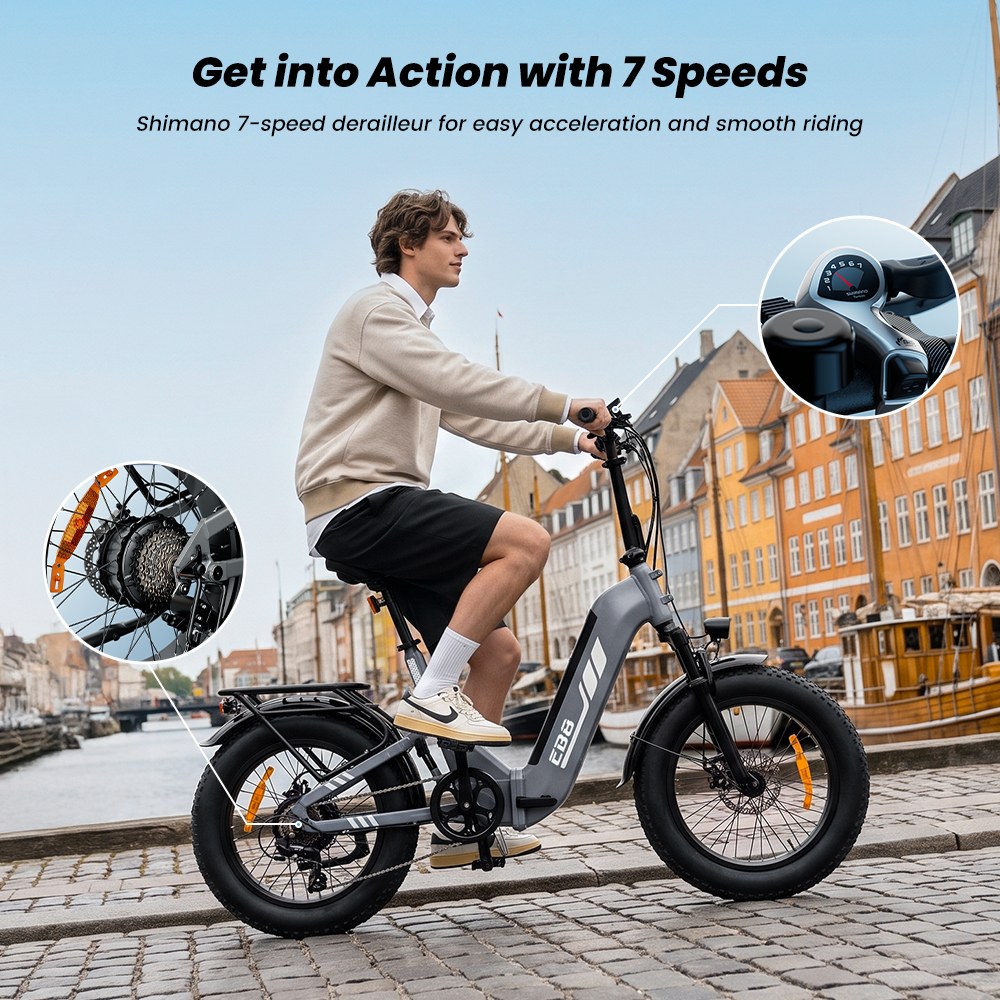 EB8 Faltbares Elektrofahrrad, 250-W-Motor, 48-V-15-Ah-Akku, &uuml;ber 144 km Reichweite, 25 km/h H&ouml;chstgeschwindigkeit, 20&times;4,0