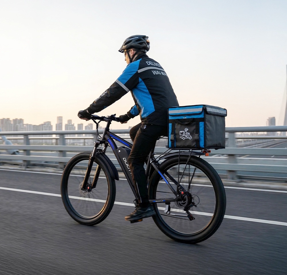 DUOTTS C29-M Electric Bike, 750W Motor, 48V 15Ah Battery, 45&ndash;50km/h Top Speed, 90km Range, 27.5&times;2.125