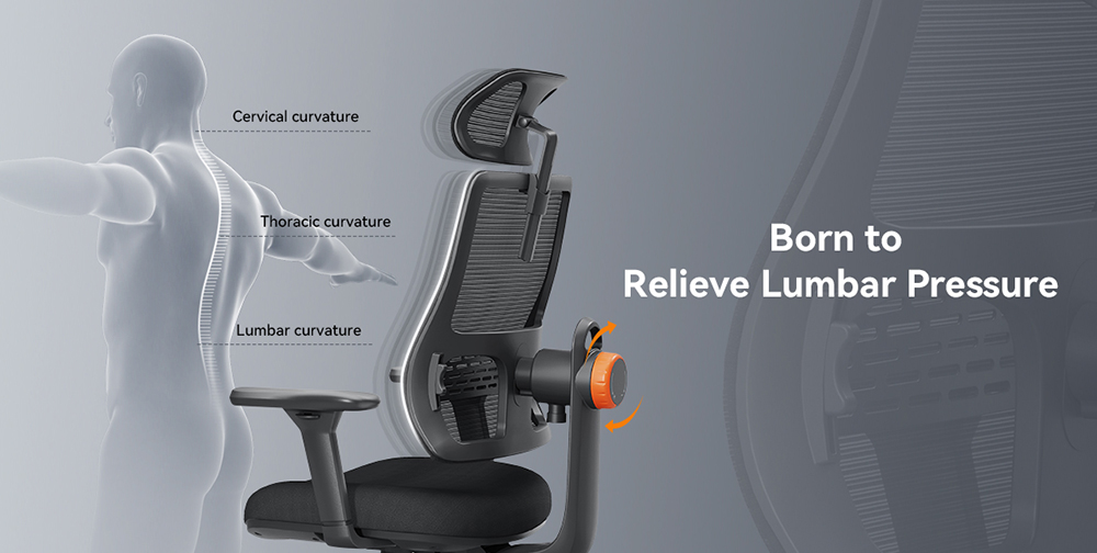NEWTRAL MAGICH003 Ergonomic Chair, Auto-Following Backrest, Adaptive Lower Back Support, Adjustable Headrest Seat Depth, 3D Armrest Recliner, 3 Positions to Lock