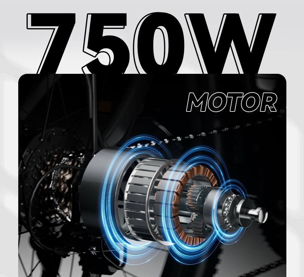 V&eacute;lo &eacute;lectrique DUOTTS C29 Pro, moteur de 750 W, deux batteries rempla&ccedil;ables 48 V 15 Ah, vitesse maximale de 52 km/h, autonomie maximale de 90 km par batterie, angle d'inclinaison maximal de 30&deg;, pneus 29 &times; 2,125 pouces, 21 vitesses, freins &agrave; disque hydrauliques, charge maximale de 150 kg