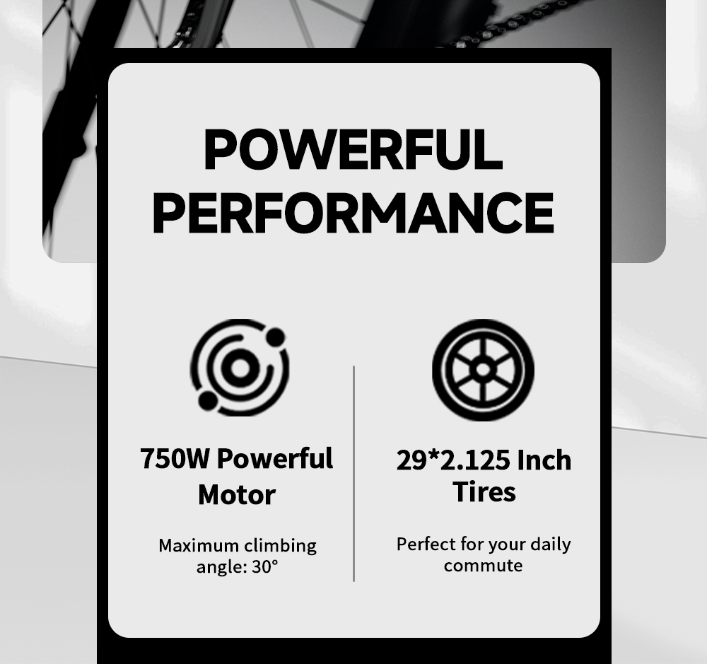 V&eacute;lo &eacute;lectrique DUOTTS C29 Pro, moteur de 750 W, deux batteries rempla&ccedil;ables 48 V 15 Ah, vitesse maximale de 52 km/h, autonomie maximale de 90 km par batterie, angle d'inclinaison maximal de 30&deg;, pneus 29 &times; 2,125 pouces, 21 vitesses, freins &agrave; disque hydrauliques, charge maximale de 150 kg