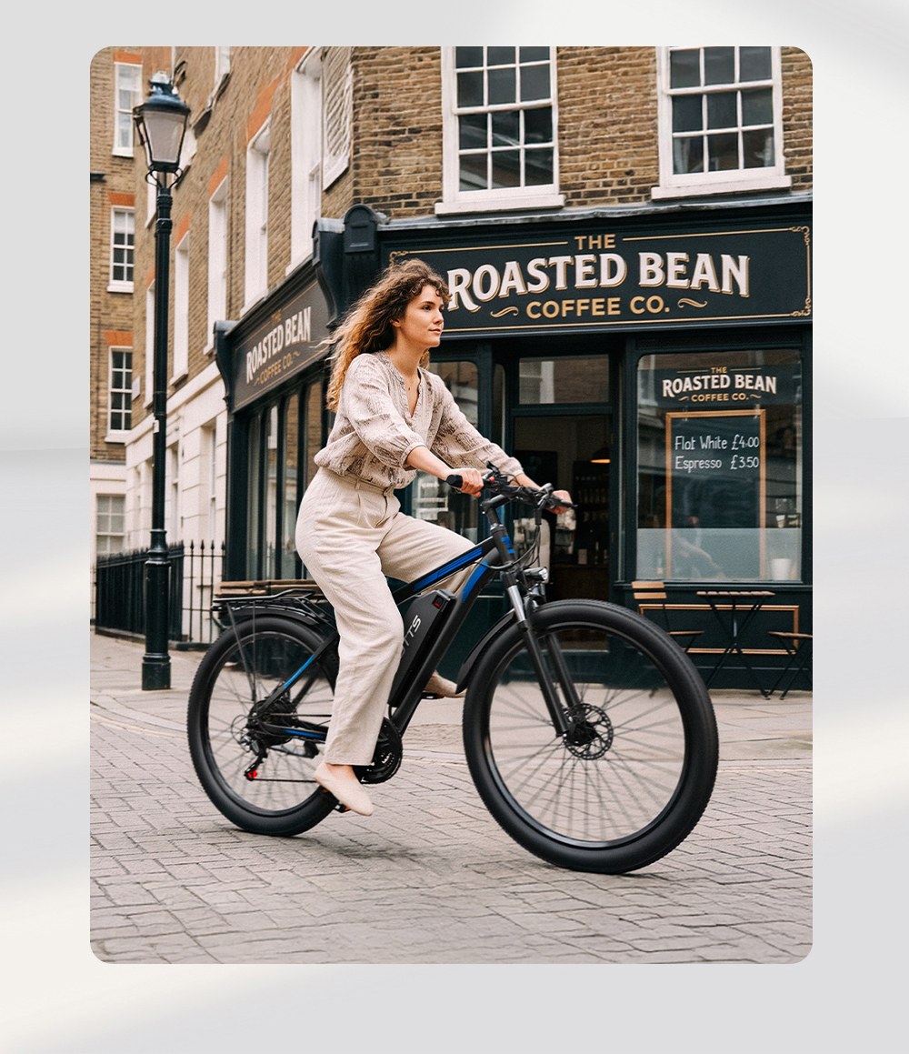 DUOTTS C29 Pro Elektrofahrrad, 750-W-Motor, 48-V-15-Ah-Akku, 52 km/h H&ouml;chstgeschwindigkeit, 90 km maximale Reichweite, Steigf&auml;higkeit bis 30&deg;, 29&times;2,125-Zoll-Reifen, 21 G&auml;nge, hydraulische Scheibenbremsen, maximale Zuladung 150 kg