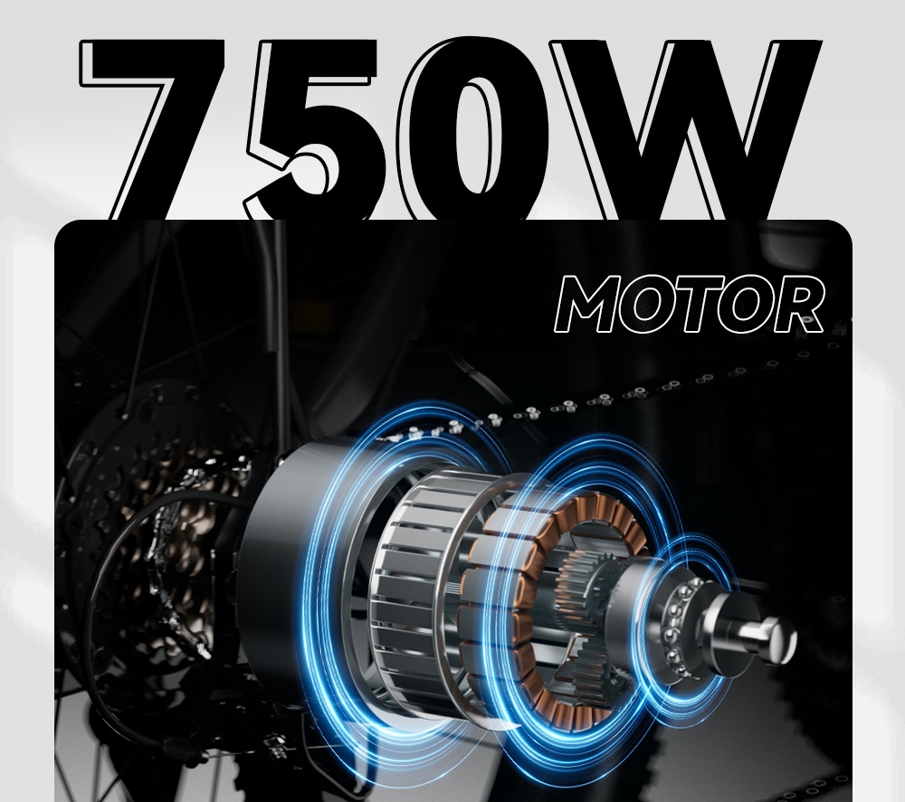 DUOTTS C29 Pro Elektrofahrrad, 750-W-Motor, 48-V-15-Ah-Akku, 52 km/h H&ouml;chstgeschwindigkeit, 90 km maximale Reichweite, Steigf&auml;higkeit bis 30&deg;, 29&times;2,125-Zoll-Reifen, 21 G&auml;nge, hydraulische Scheibenbremsen, maximale Zuladung 150 kg