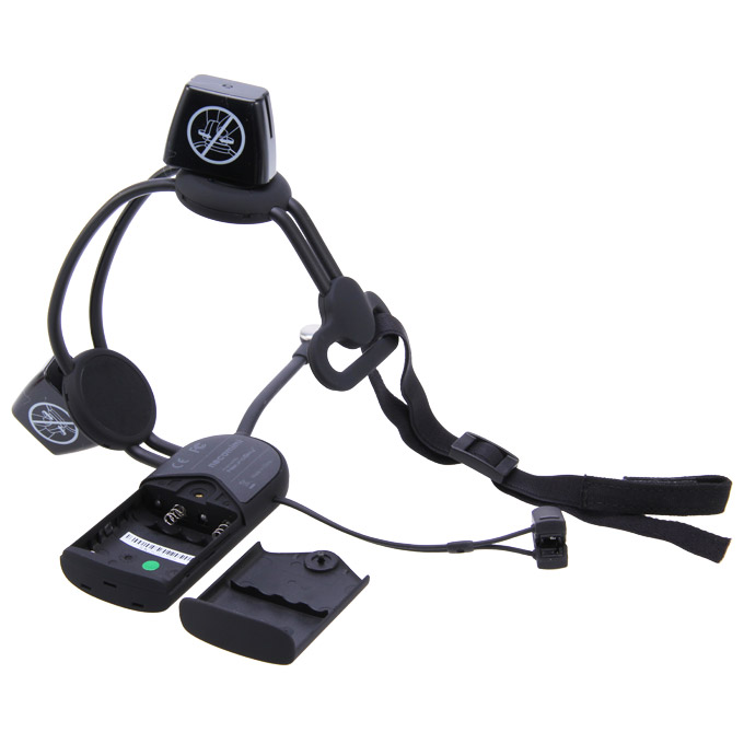 Mood Cat Ears Mind Cat Ears Brain Waves Intelligent Control