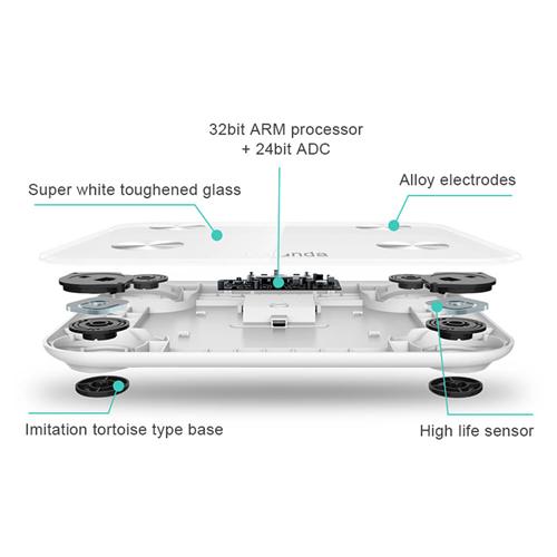 Yolanda Intelligent Fat Scale Body Scale
