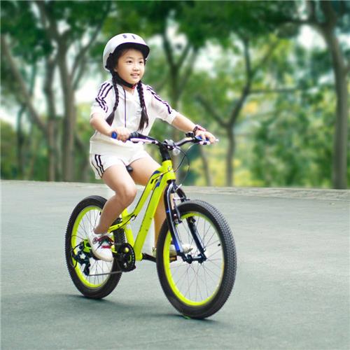 qicycle mountain bike