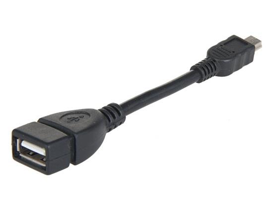 AF to Mini Cable Black