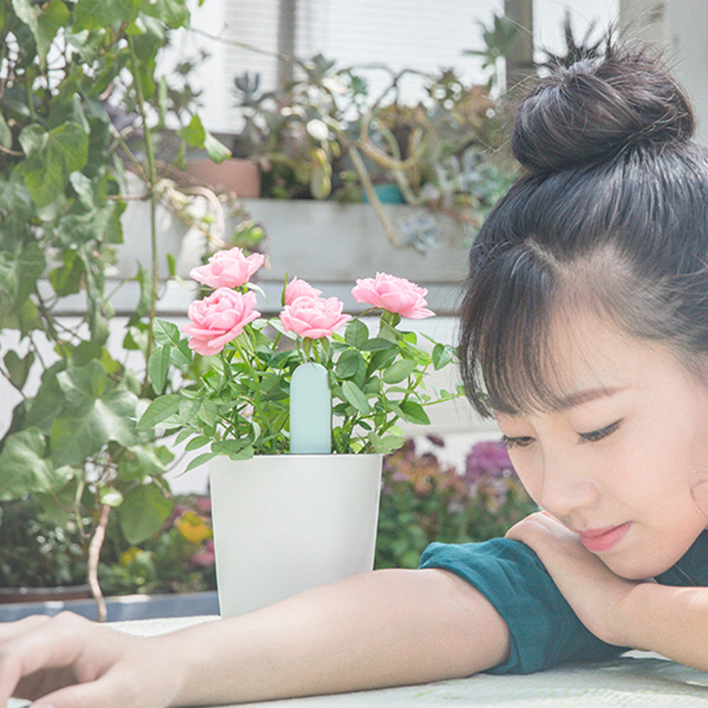 Xiaomi Flora Flower Monitor Light Green