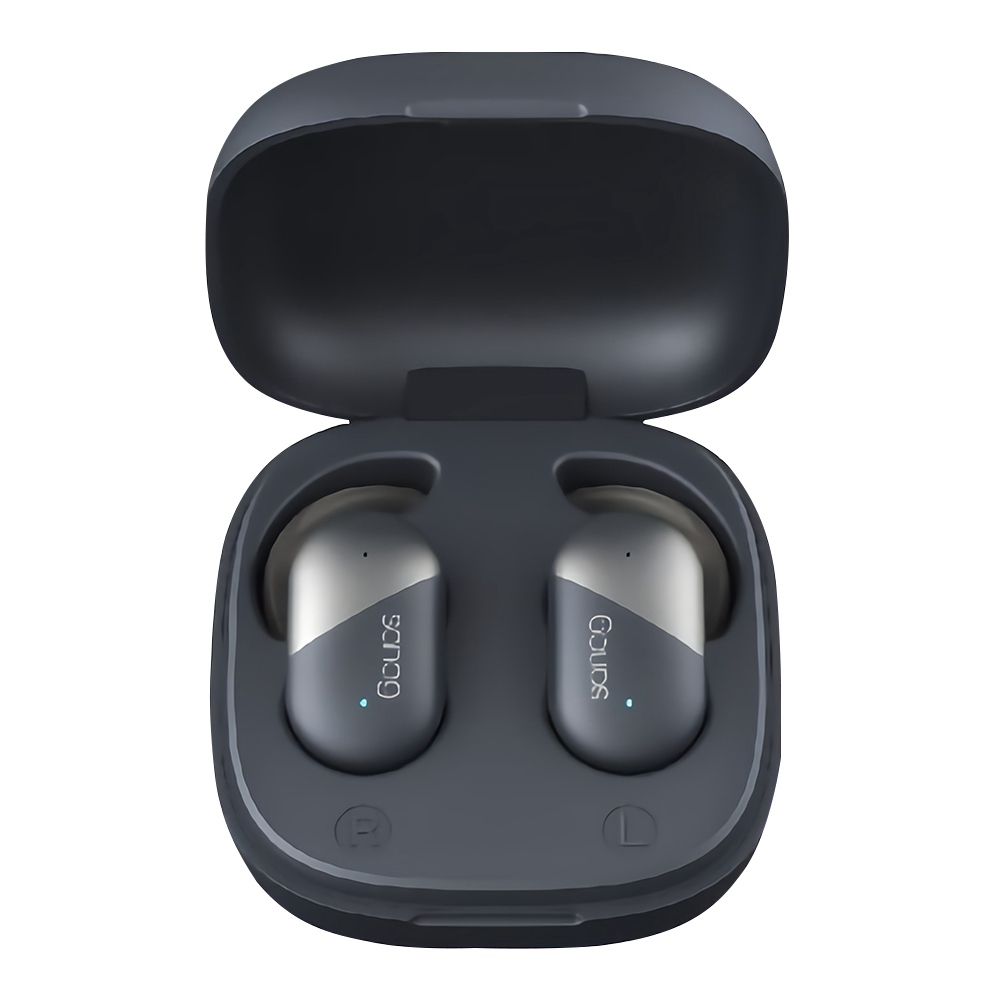Sanag P5 Bluetooth 5.0 TWS Earphones